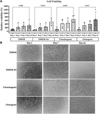 Allografts for partial meniscus repair: an in vitro and ex vivo meniscus culture study